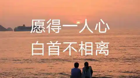 愿得一人心,白首不相离!