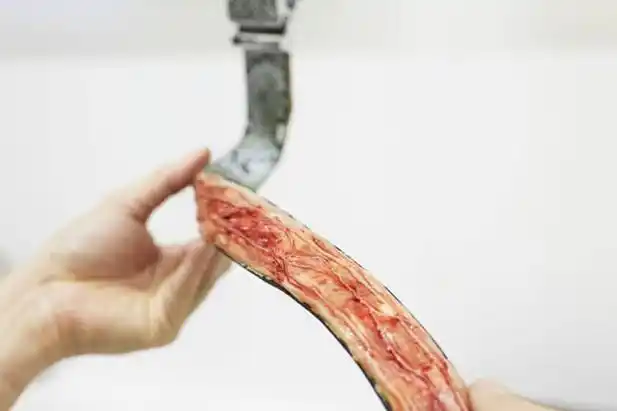 曼谷商场摆放"血淋淋皮包" 内装"新鲜内脏"(组图)