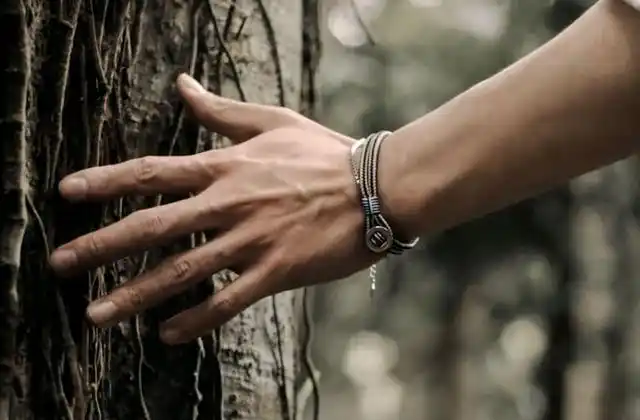 肖战的手:真实的生活真实的美