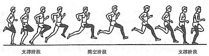 跑步踮起脚尖跑,还是不踮起