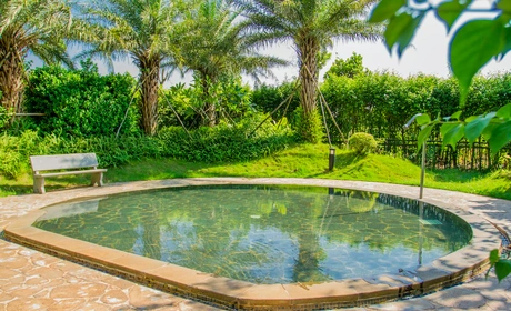 樟树湾大酒店温泉门票双人票