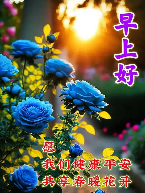 珍惜缘分不能丢;人生一世几春秋,真诚知己太难求;不忘清晨来问候,健康