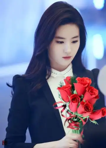 刘亦菲 邹雨 2015电影《第三种爱情》