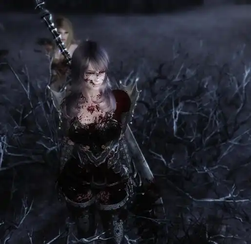 上古卷轴5面部血液溅射mod