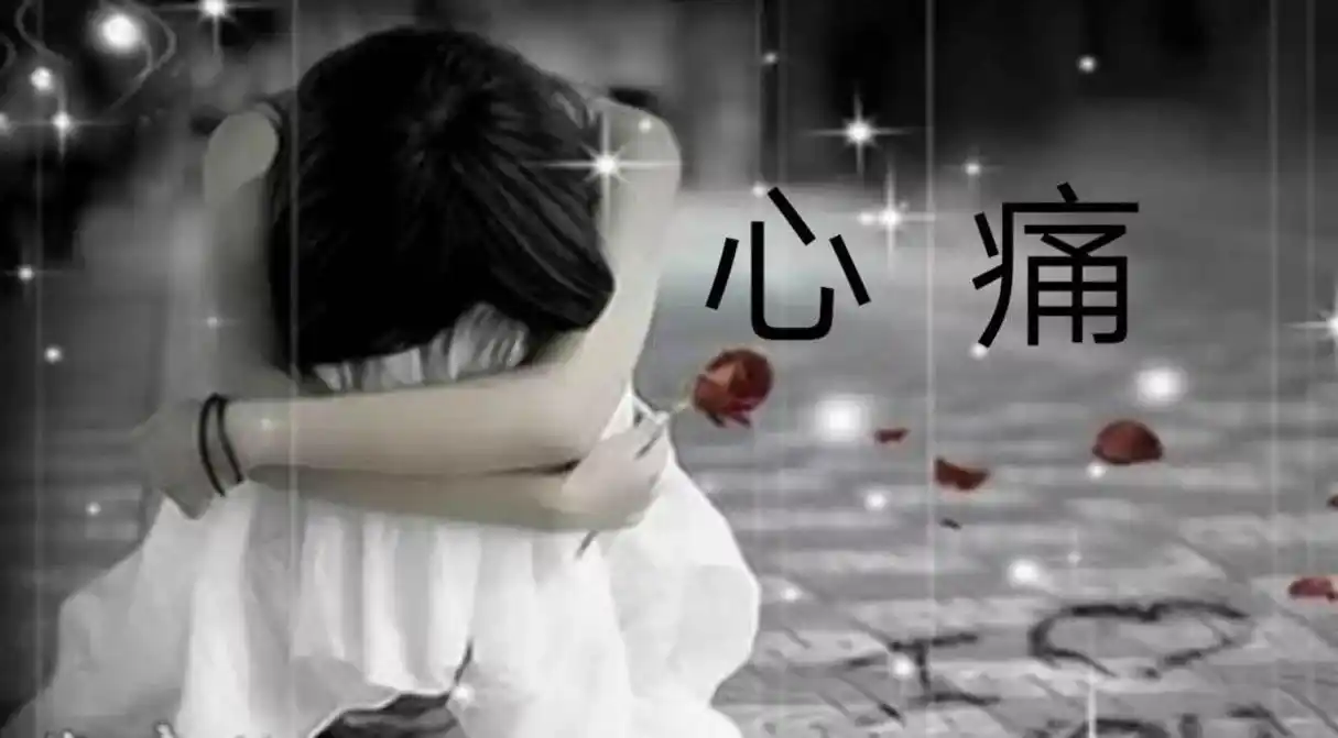 就让鸿雁带走我的思念向你深情告白瞬间的心痛亦是一种美好的回味苦苦