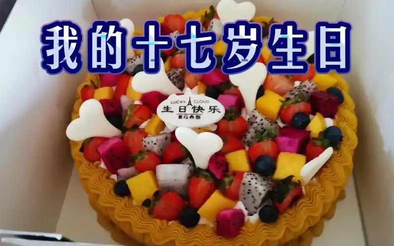 【日常】论我的17岁生日是如何度过的