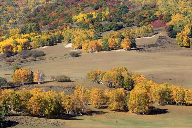 相约2013,追逐那一片秋风吹过的旷野——坝上草原