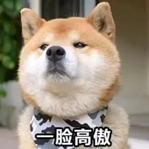 【表情包】霸道柴总的沙雕日常