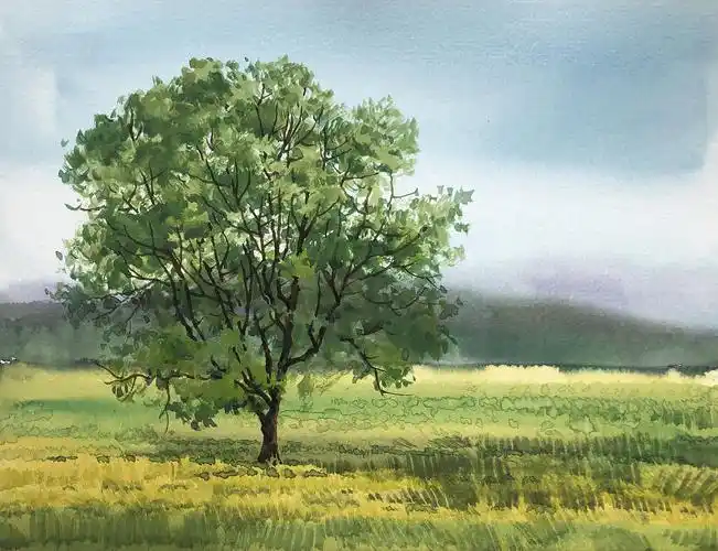 水彩风景——夏树生非花(2022 夏日里的树先生们)