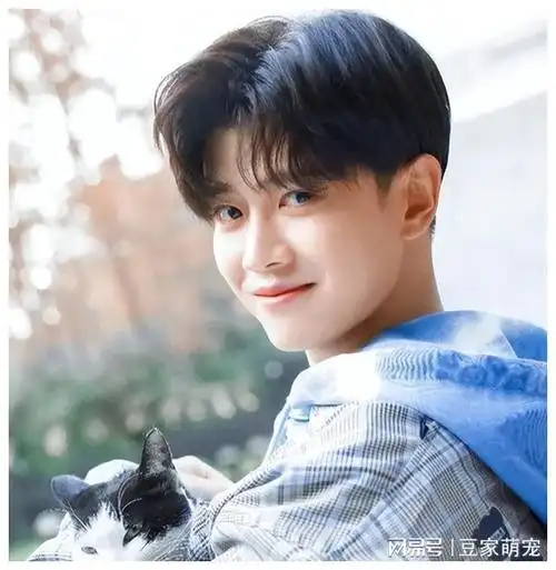 欢瑞历届艺人现状任嘉伦杨紫成毅对比差异很明显