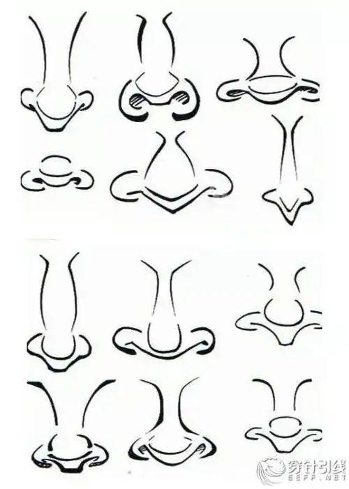 画人物一定要会画鼻子