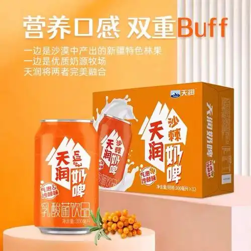 新疆天润奶啤沙棘味300ml12罐乳酸菌饮品含乳饮料非啤酒新品