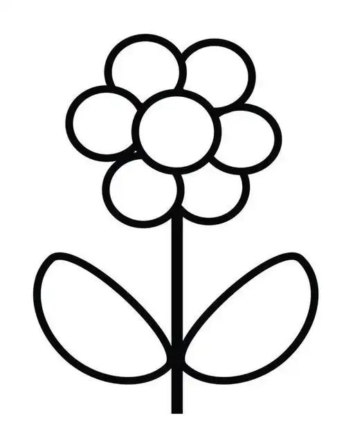 适合零基础小白学画的花卉简笔画教程