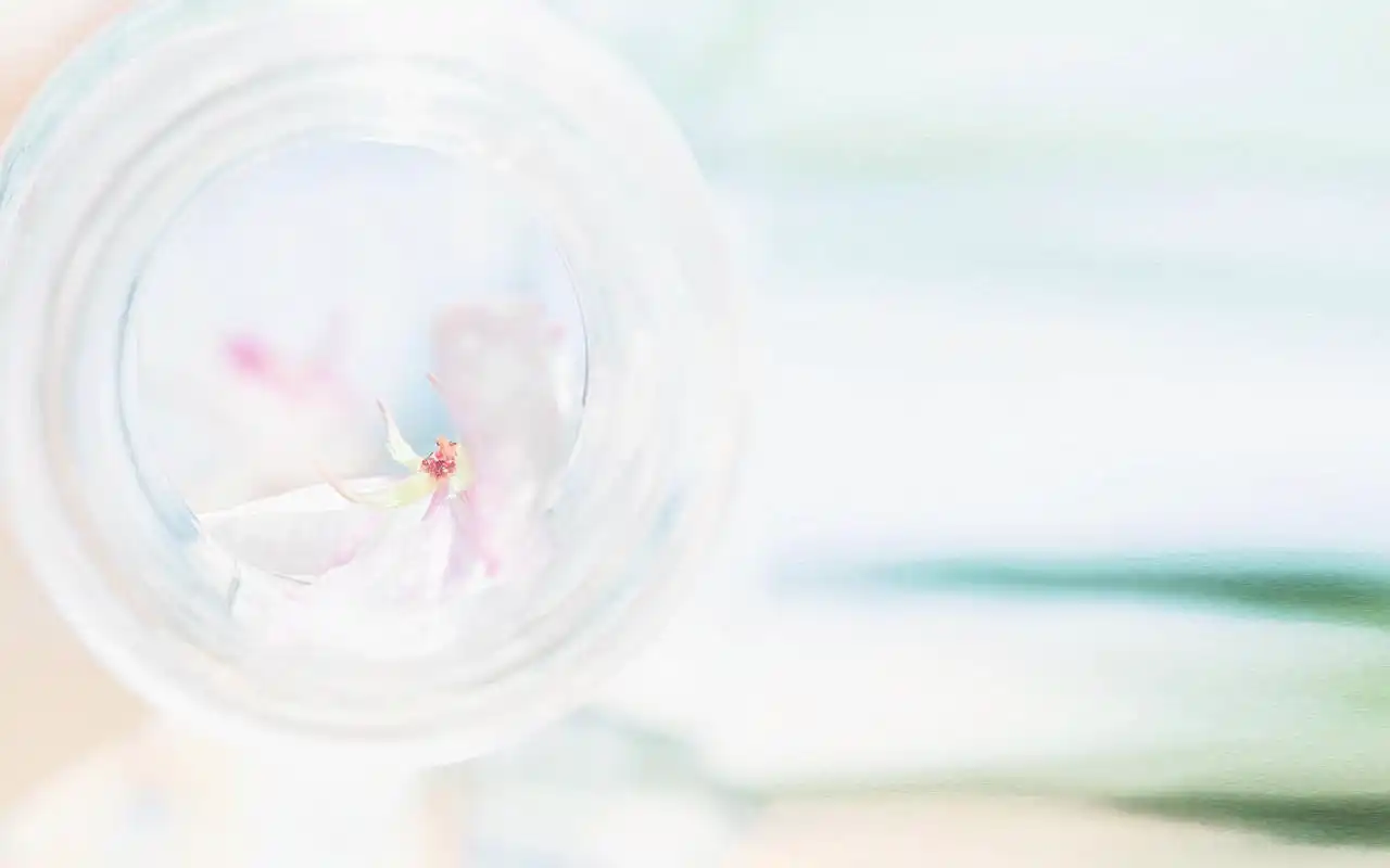 清凉夏日玻璃杯简约静物风景图片桌面壁纸,干净的玻璃杯,简约又精致的