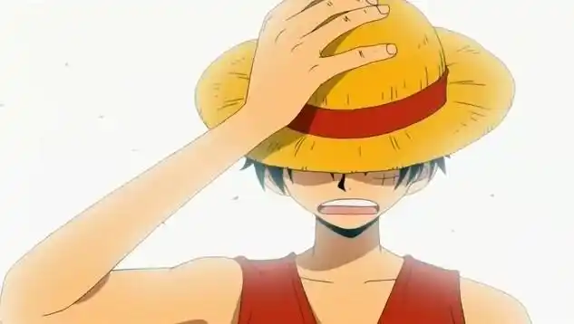 我是要成为海贼王的男人 路飞