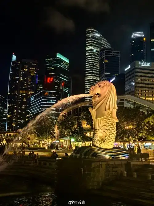 #致可爱的你##新加坡vs国足##国足首发#