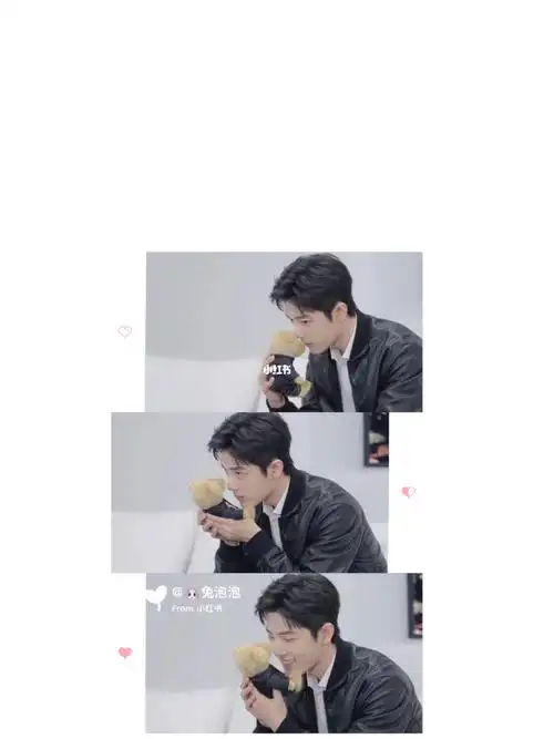 肖战壁纸放开那只熊让我来