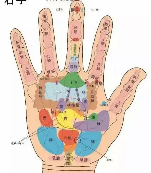 手心大拇指长痣有什么含义?图解一生,痣相看人的一生