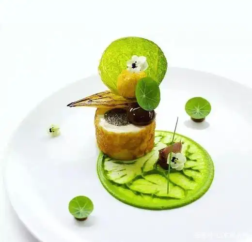 为你提供创意新菜灵感,前卫菜品图片赏析