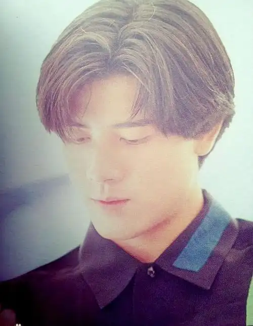 一种发型,来源自当时 a target="_blank" href="/item/郭富城/149106"