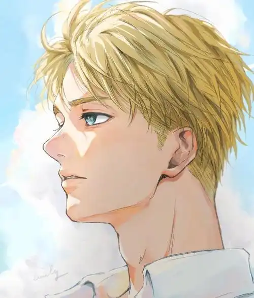 阿尔敏你帅的有点不对劲