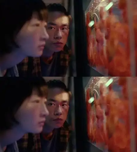 少年的你,易烊千玺