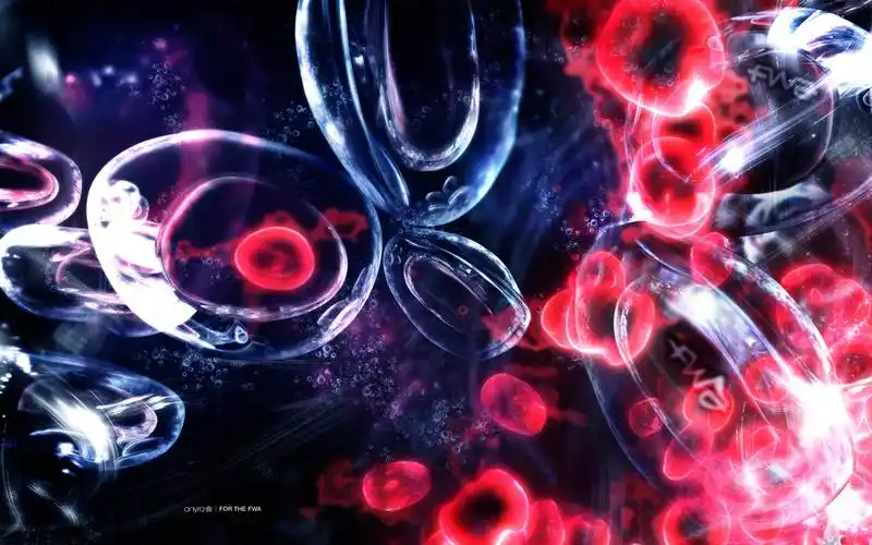 宽屏fwa创意个性壁纸,高清图片-壁纸族