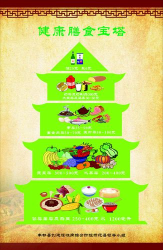 645海报印制海报展板素材224健康知识健康膳食宝塔