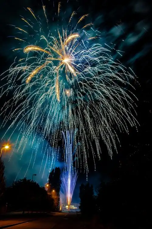 夜晚空中灿烂烟花图片