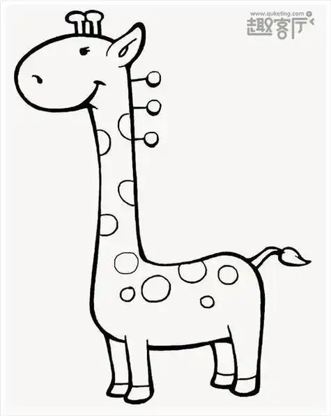 可爱的动物图片简笔画