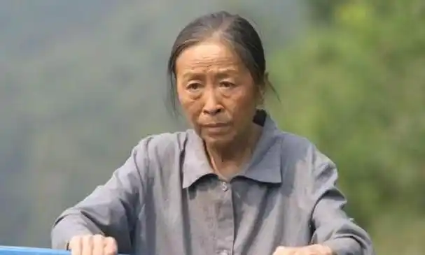 张少华,这位和蔼可亲的荧幕母亲,以其深情的演绎,为观众塑造了许多