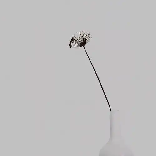 有没有意境文艺简约男生用的头像