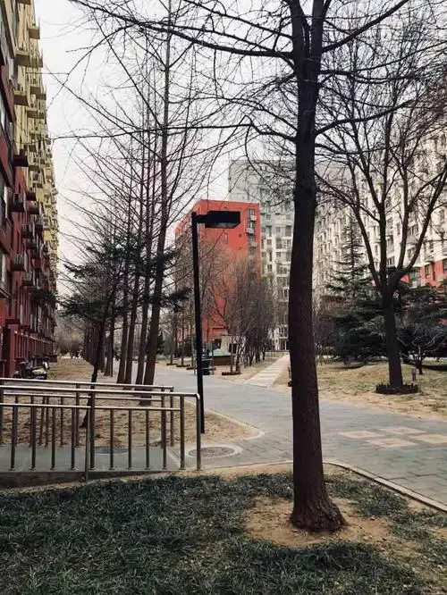 北京印象-"从小在海淀区公主坟这一片,北京印象小区是.