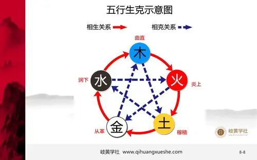 【岐黄学社007】中医入门——中医基础理论