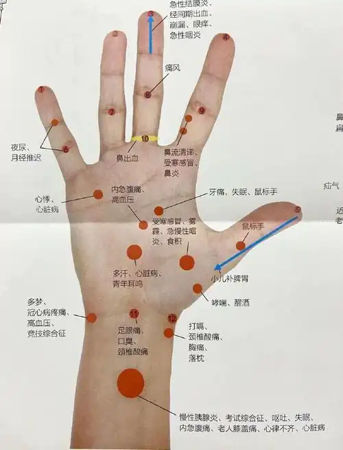 手掌按揉反射区#健康养生