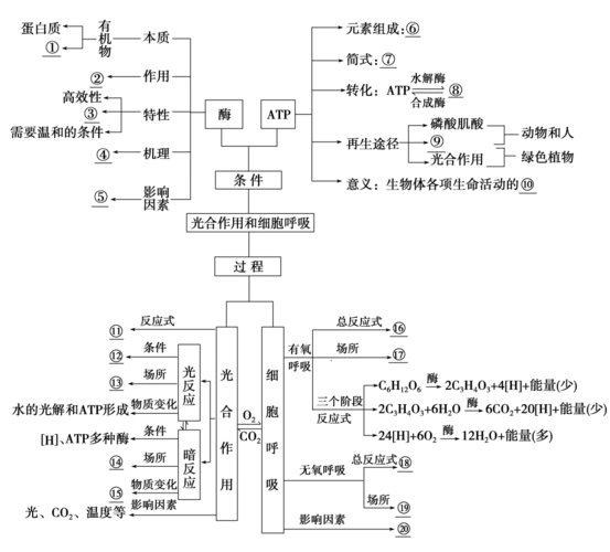19版高考生物一轮复习第3单元光合作用和细胞呼吸单元网络构建学案苏