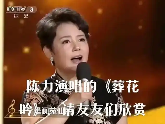 陈力演唱的葬花吟听了让人悲悲切切,凄凄惨惨戚戚,真是,花开 - 抖音