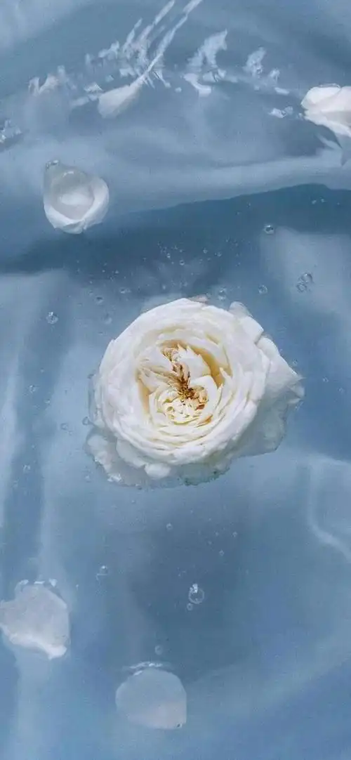 超级适合夏天的手机壁纸,太清爽了