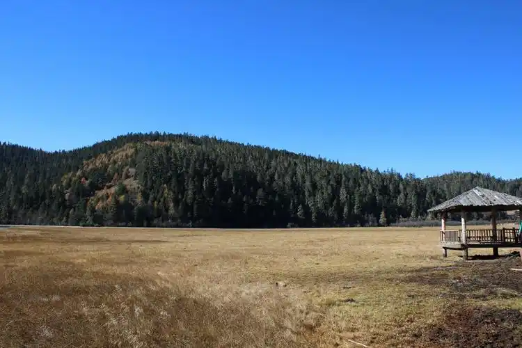 一个人的云南之旅,孤单的旅行愈渐温暖,驴友至上!