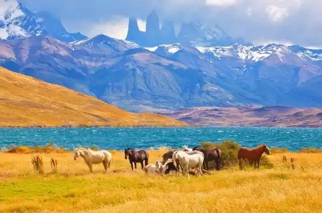 托雷德裴恩国家公园,当之无愧地,被誉为世界风景最美的国家公园