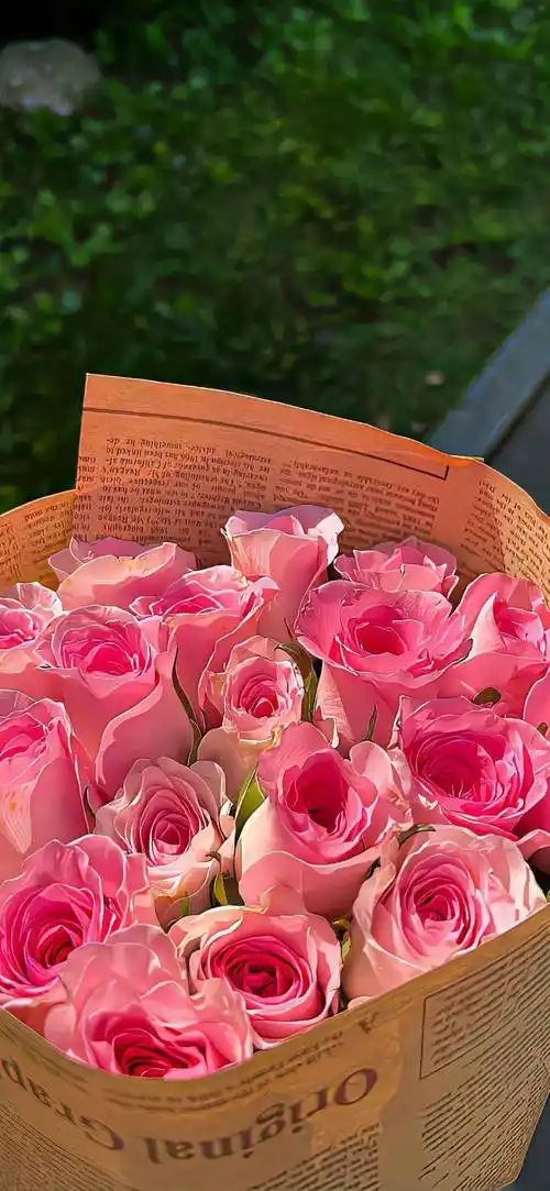 壁纸 | 高质量ins风 锁屏壁纸