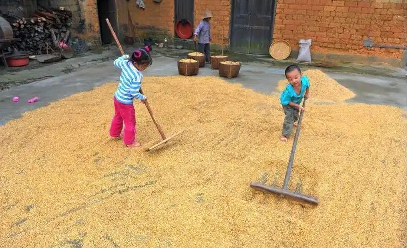 农村孩子们满满的童年回忆,你们还记得这些吗?