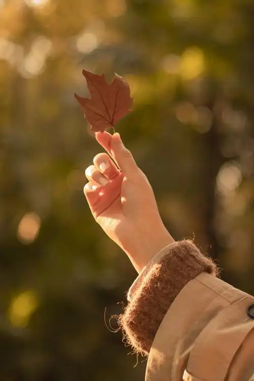 摄影师一暖阳先生的写真摄影作品《秋天唯美意境写真》