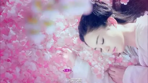 赵丽颖《花千骨》【花千骨】"今生我从未后… - 堆糖,美图壁纸兴趣
