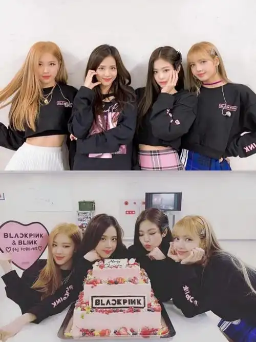 神仙组合blackpink,四小只都是我的宝藏女孩