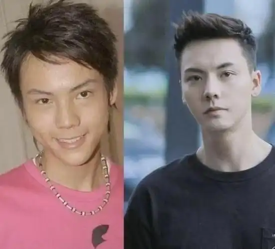 娱乐圈疑云:杨紫柳岩等明星频被爆负面传闻|男神|整容|陈伟霆|鞠婧祎