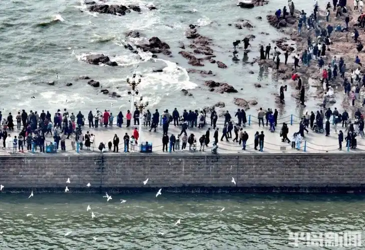 3月24日,在青岛栈桥景区,大量游客和市民前来喂海鸥,浪
