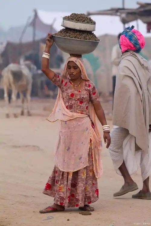 你怎么理解印度人这三个字