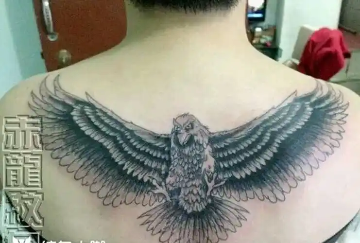 font color=red>老鹰 /font>………纹身图片_背部传统动物成品纹身