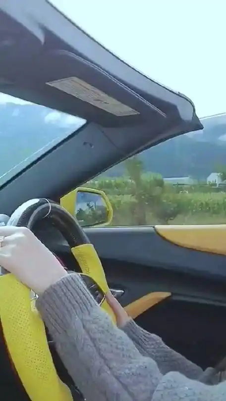 刘亦菲车展买法拉利经典回顾